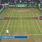 Jannik Sinner Suffers Shock Defeat at Halle Open