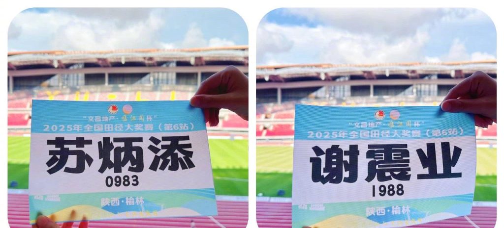 Breaking the Great Firewall: How Overseas Chinese Can Unlock Mainland Streaming Content Like a Pro