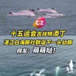 How Overseas Chinese Can Bypass Geo-Restrictions to Stream Mainland Movies, TV Shows & Music Smoothly