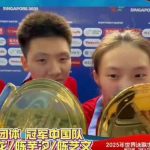 How Overseas Chinese Can Bypass Geo-Restrictions to Watch Mainland Shows Smoothly