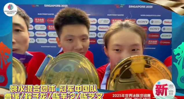How Overseas Chinese Can Bypass Geo-Restrictions to Watch Mainland Shows Smoothly