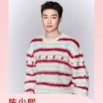 Overseas Chinese Can’t Watch Domestic Shows? Here’s How to Bypass Geo-Restrictions on Chinese Entertainment Content!