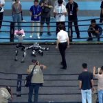 Robot Boxing Fail Goes Viral: Watch This Hilarious Moment When a Robot Knocks Itself Out!