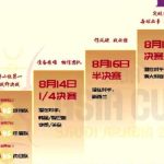 Breaking the Great Firewall: How Overseas Chinese Can Watch Mainland Shows Without Buffering!