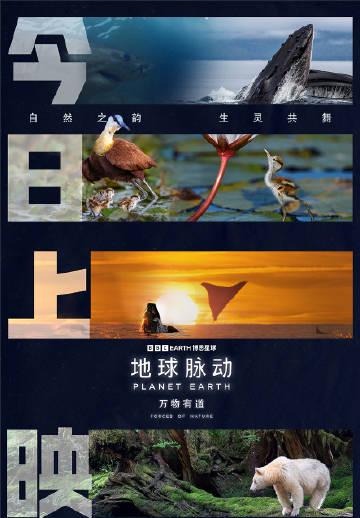 Overseas Chinese Guide: How to Bypass Geo-Restrictions for Mainland Movies & Shows