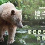 How Overseas Chinese Can Unlock Mainland Streaming Restrictions for Movies, TV Shows & Music
