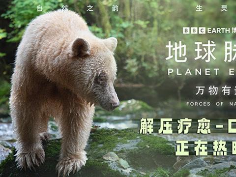 How Overseas Chinese Can Unlock Mainland Streaming Restrictions for Movies, TV Shows & Music