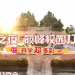 Stuck with ‘Content Not Available’? How Overseas Chinese Finally Watched Their Favorite Show Without Lag