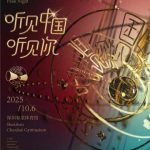 Stuck Behind the Great Firewall? How Overseas Chinese Can Finally Stream That Huge Music Concert Without Buffering