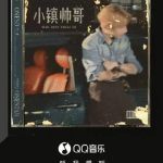 Overseas Chinese Furious! Why Can’t We Watch Domestic Shows? The Secret Solution Revealed!