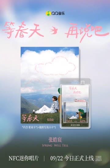 How Overseas Chinese Can Bypass Geo-Rocks for Mainland Movies, Music & Shows