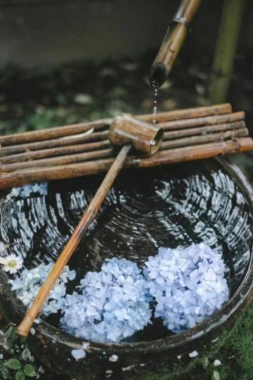 When My Weibo Feed Showed ‘Zen Tea’ But I Couldn’t Watch It Abroad: The Digital Homesickness That Hits Hard