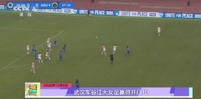 Overseas Chinese Guide: How to Bypass Geo-Restrictions for Chinese Entertainment Content