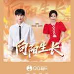Breaking Free: How Overseas Chinese Can Finally Watch Their Favorite Shows Without Geo-Restrictions!