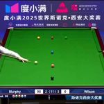 How Overseas Chinese Can Unlock Mainland Streaming: While Murphy Makes Back-to-Back Finals