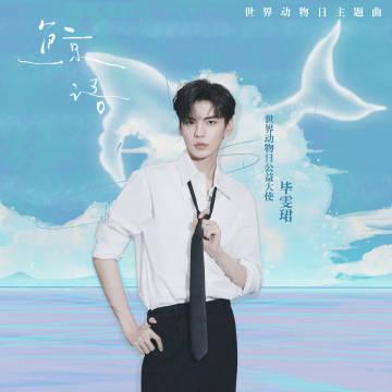 Can’t Listen to Bi Wenjun’s New Song Abroad? Here’s How to Unlock Chinese Music Worldwide!