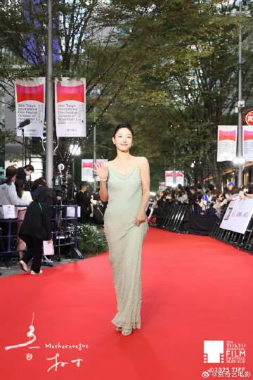 When Overseas Friends Can't Stream 'Spring Tree' on Weibo: That Frustrating 'Region Lock' Moment We've All Faced