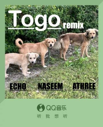 Shocked! How Overseas Chinese Can Finally Unlock QQ Music's Hot New Song 'ToGo' Without Geo-Restrictions!