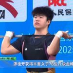 Overseas Chinese Guide: How to Bypass Geo-Restrictions for Chinese Entertainment Content