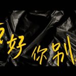 Overseas Chinese Guide: How to Unlock Chinese Streaming Content and Watch ‘My Most Special Friend’ This December