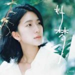 Overseas Chinese Guide: How to Access Chinese Music and Videos from Abroad