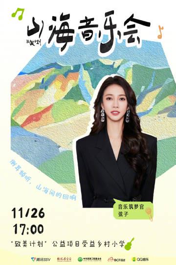 When I Saw the Photos from That Rural Concert in China, I Finally Understood Why My Overseas Friends Keep Complaining About Geo-Restrictions