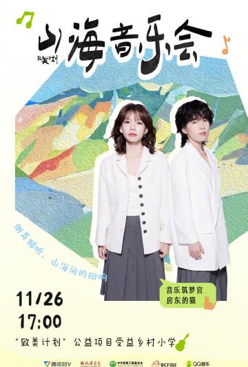 When I Saw the Photos from That Rural Concert in China, I Finally Understood Why My Overseas Friends Keep Complaining About Geo-Restrictions