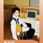 How Overseas Chinese Can Unlock Mainland Streaming: From Geo-Blocks to Smooth Playback