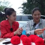 How Overseas Chinese Can Unlock Mainland Streaming Content: From Boxing Champion’s Love Story to Your Entertainment Solution