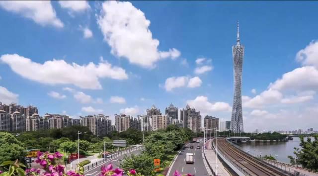 China’s Champion Walk: Meet Yang Jiayu