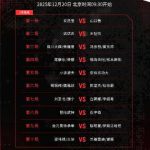 Chinese Badminton Stars Advance to Semifinals at 2025 BWF World Tour Finals