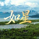 Stuck Abroad? How Overseas Chinese Can Finally Watch Domestic Shows Again!