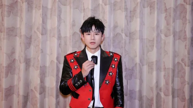 Stuck in the US, I finally understood why my friend kept sending me blurry concert clips